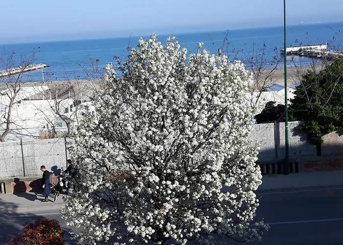 3 Amazing Sea View Beachfront Flat Blue Lägenhet Venedig-Lido